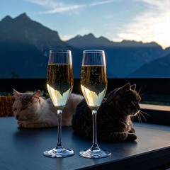 Champagne Sunsets Ep 007 | Discognition b2b dwelyr
