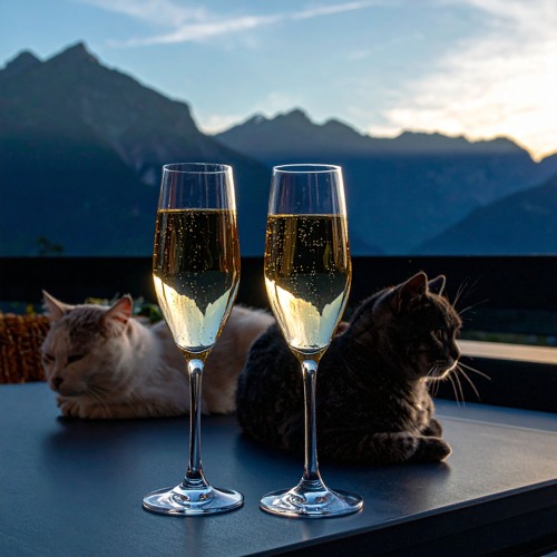 Champagne Sunsets Ep 007 | Discognition b2b dwelyr