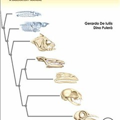 View KINDLE PDF EBOOK EPUB The Dissection of Vertebrates by  Gerardo De Iuliis PhD &