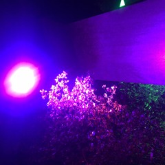 DROELOE - Strangers (Between Flip)