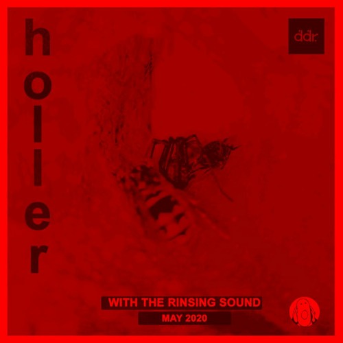 Holler 36 - May  2020 (Ambient, psycho-samba, warehouse breaks, rowdy subs & chipmonk vocals...! )