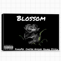 blossom - yungpg (feat. Carter Amond, Young Stitch)