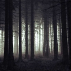 Dark Corners Of The Earth