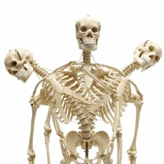 In My Bones