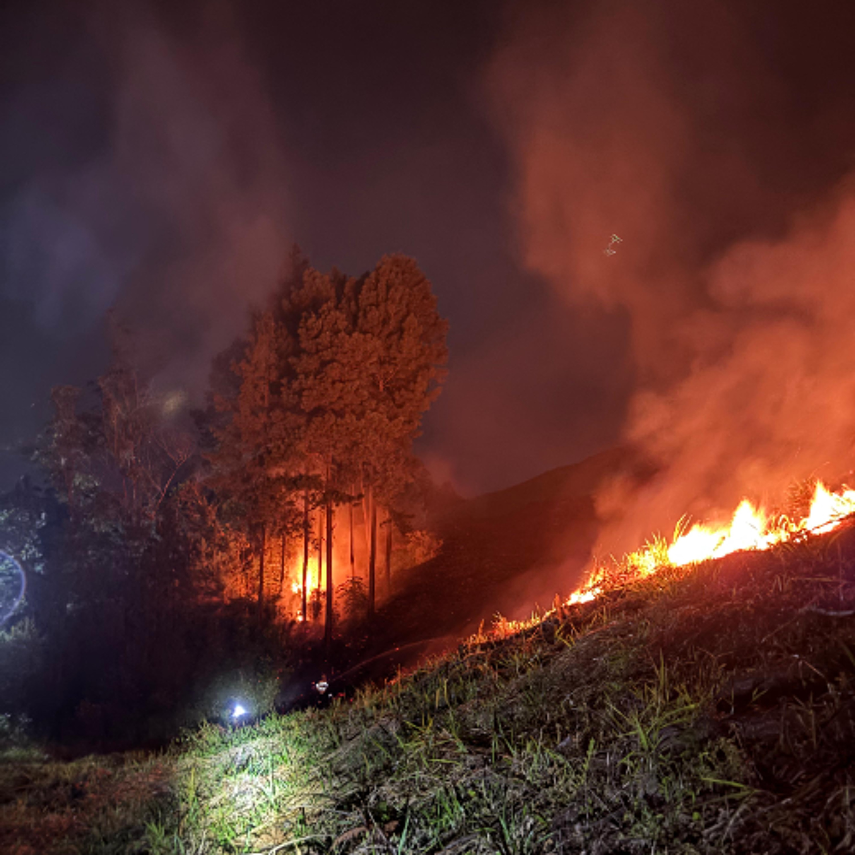 Incêndio em vegetação atinge cerca de 8,7 mil m² no bairro Barro Branco, em Lauro Müller episode artwork