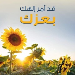 بركات بركات على رأس الصديق بركات - خدمة السماء على الأرض - مصر