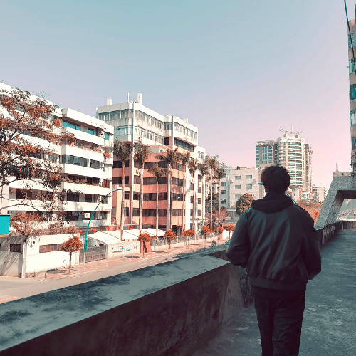 Gone (Anyone but u)
