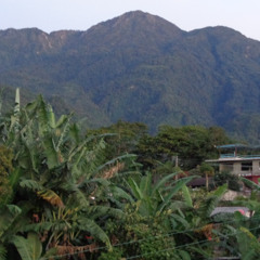 Voces al Aire...Libre "Paisaje Sonoro: El Amanecer en Unión Juárez, 14 noviembre 2025"