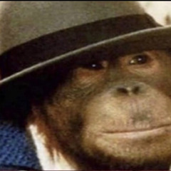 Sub 8 dropout (DEMO)