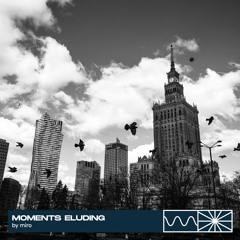 Moments Eluding 04/25 by miro