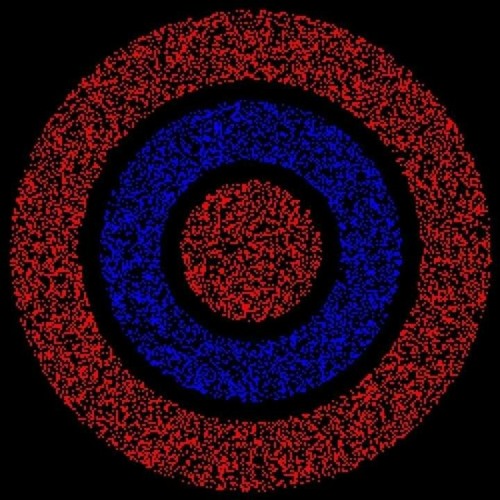 Kev bird/this is a trip