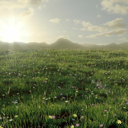 dandelion