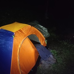 Una Noche En El Salado