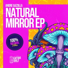 Andre Gazolla - Natural Mirror
