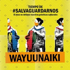 Wayuunaiki ¿Qué Es El Virus Y Sus Síntomas?