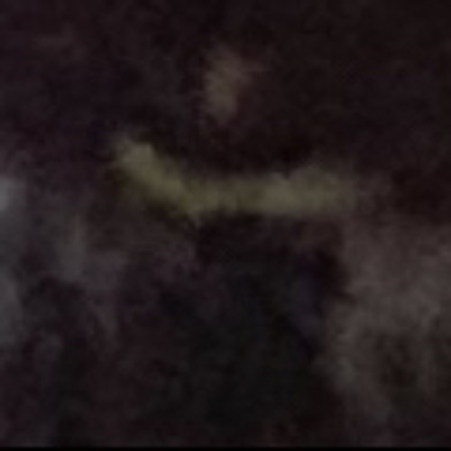 I thought I seen a dog
