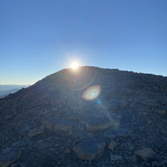 Everything You've Ever Dreamed Of