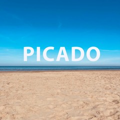 Picado (for ensemble, 2024)