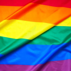 Isn’t it ugly Society