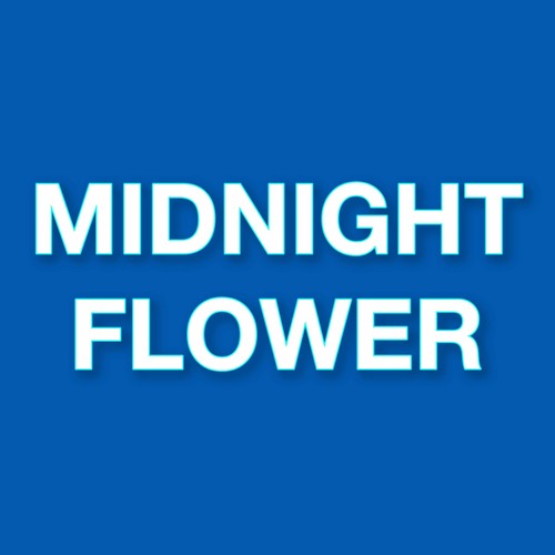 Midnight Flower (SONG B) - tripleS Gravity