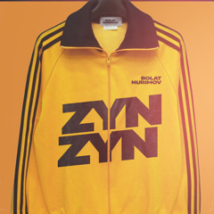 Zyn Zyn