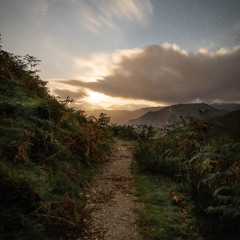 A Wobbly Path
