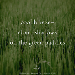 a cloud shadow (naviarhaiku572)