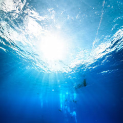 Submersed wip v1