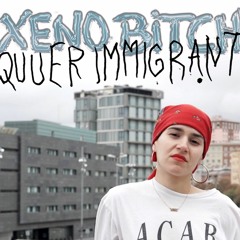 01. Queer Immigrant (Q.I.)