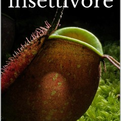 PDF/READ  Le piante insettivore (Italian Edition)