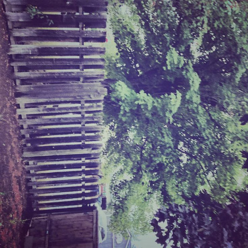 your eyes are a like a universe