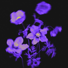 BLISS (PROD. JISSA)