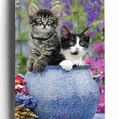 READ [KINDLE PDF EBOOK EPUB] Kittens 2023 – 2024 28 Month Planner: 2 Year Pocket Calendar by  DayS