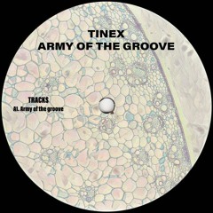 Army of the groove