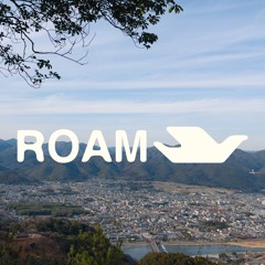 ROAM RADIO
