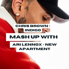 Chris Brown - Indigo x Ari Lennox - New Apartment (mashup)