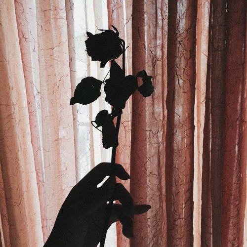 and i bleed