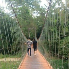 ความคิด : STAMP อภิวัชร์