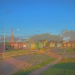 disdain (after the rain)