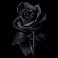 Arcade (Prod By Jathecreator & Karma)