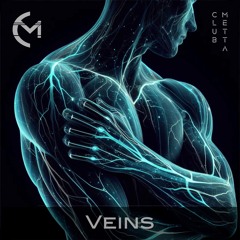 Veins - Original Mix by Sasha Pullin & Nik Beal - Club Metta