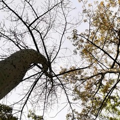 bagay nga tayo (acapella cover)