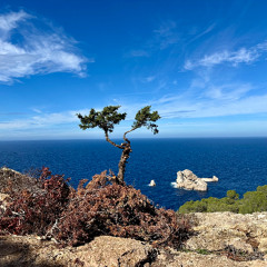 Las Puertas del Cielo Mix- October '25