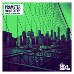 Pramster - House Cat (Original Mix) Preview