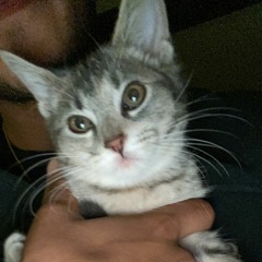 Perception Locked In