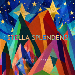 Stella Splendens