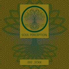 Soul Perception_002