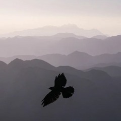 Eagle flying above the Himalayas