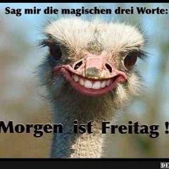 1 Tag vor Freitag (feat. HashNic & Johnny Moshpit)