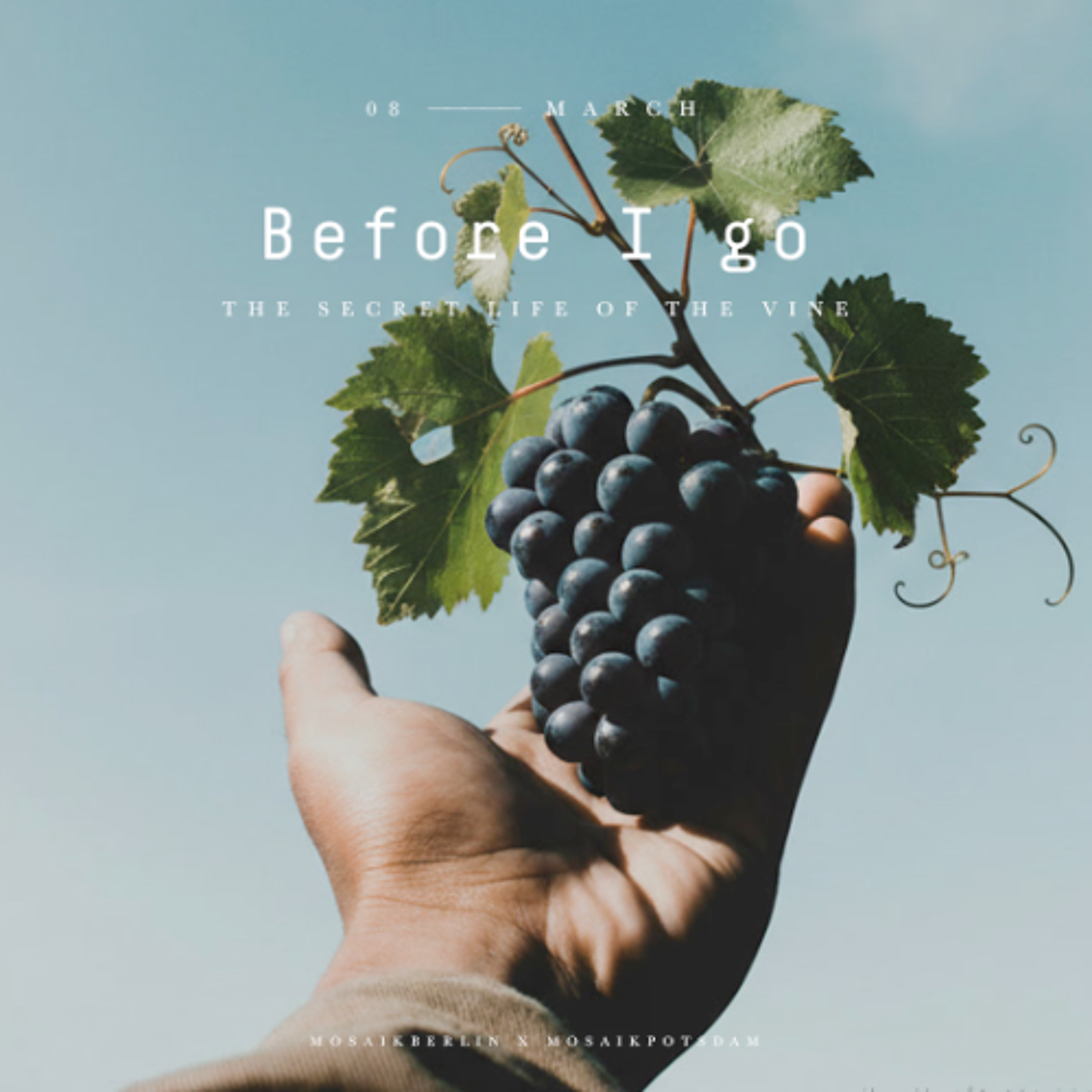 26/03/08 | The secret life of the Vine | Dave Schnitter episode artwork